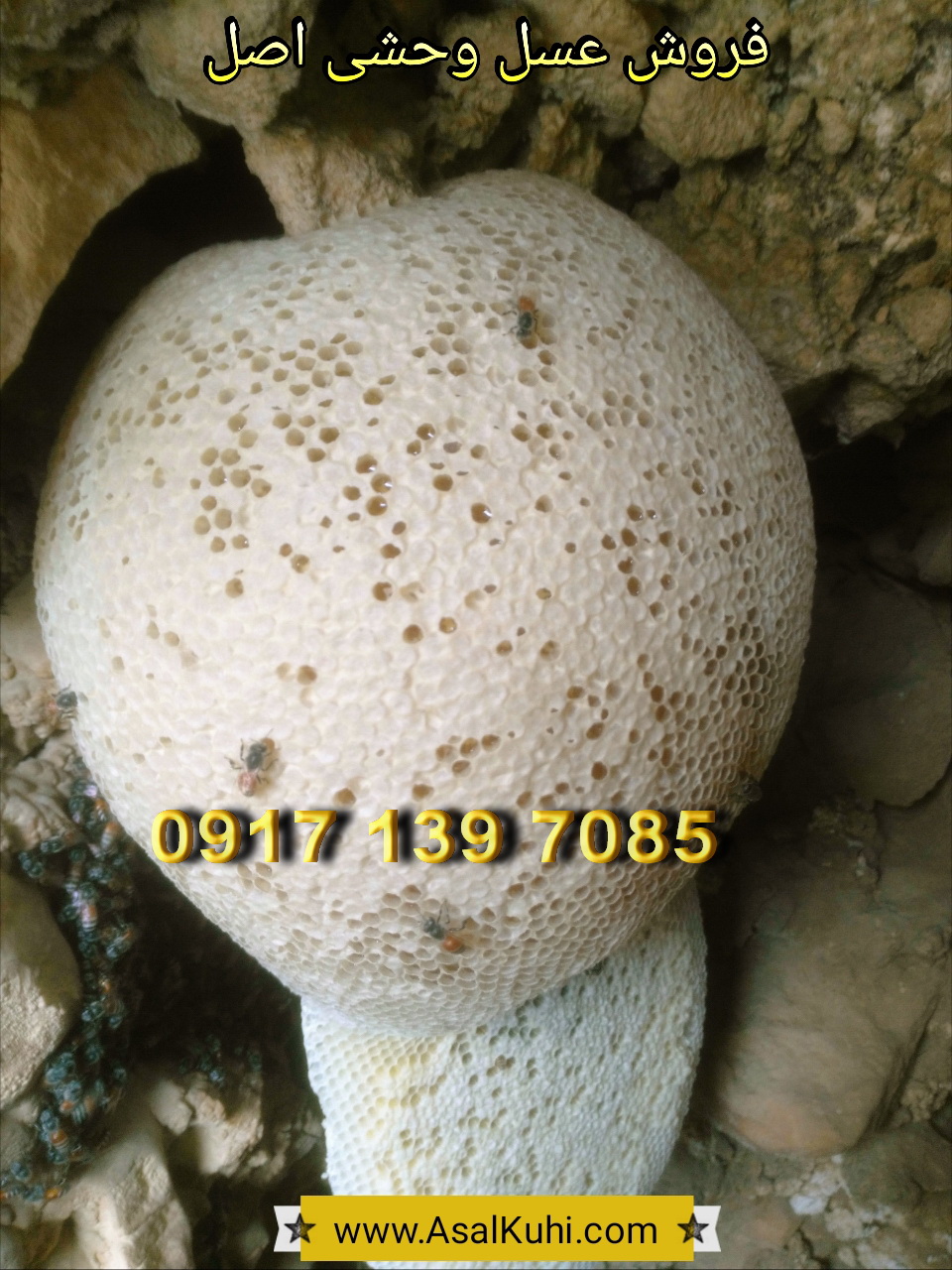 فروش عسل وحشی